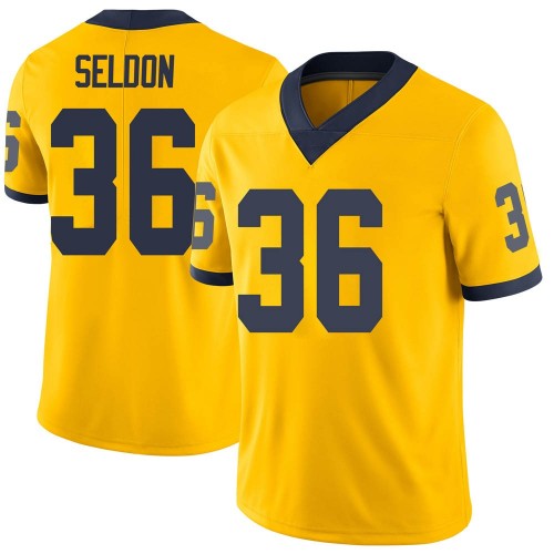 Andre Seldon Michigan Wolverines Men's NCAA #36 Maize Limited Brand Jordan College Stitched Football Jersey OSO3354YB